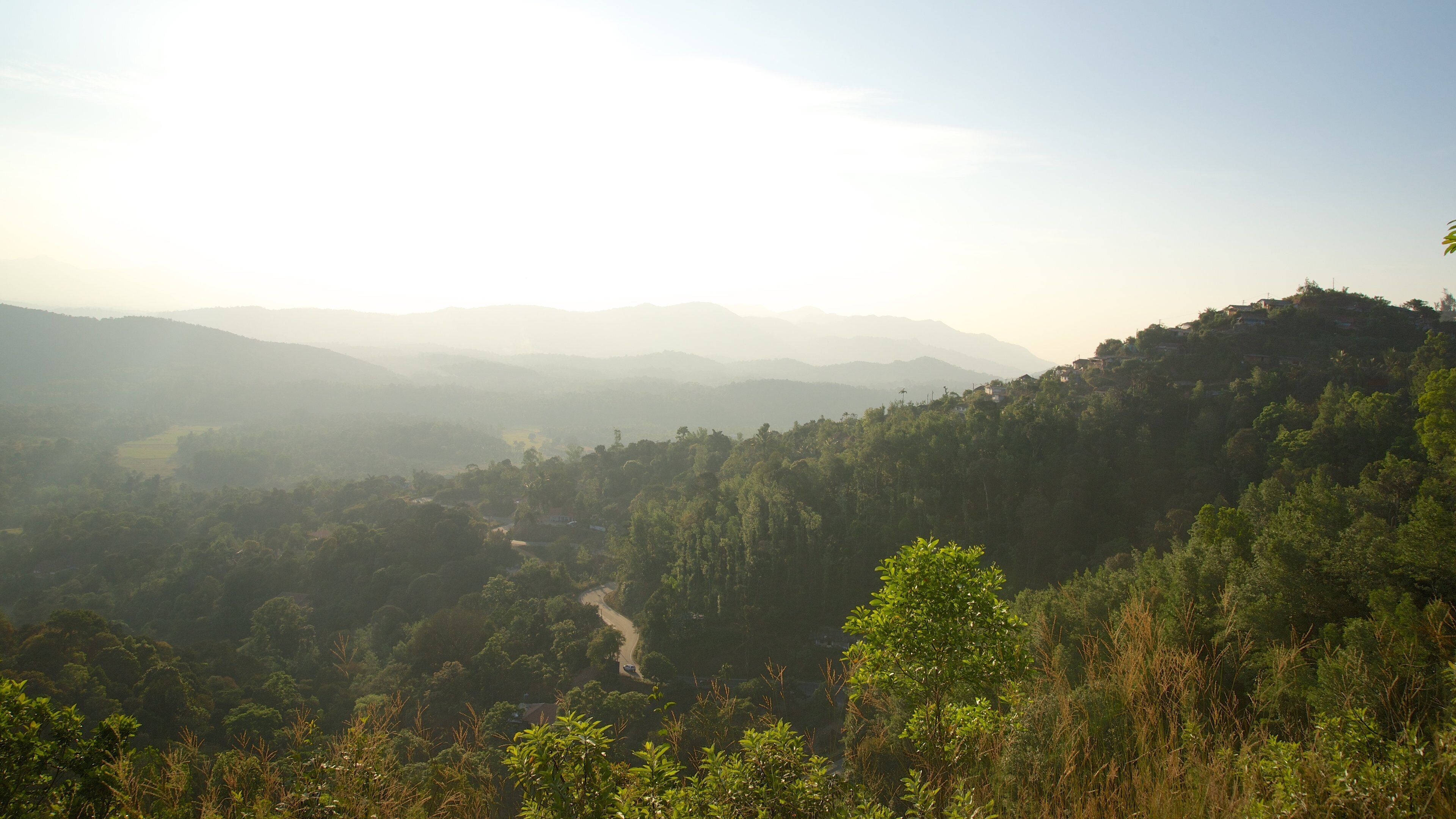 Raja\'s Seat showing tranquil scenes and forest scenes