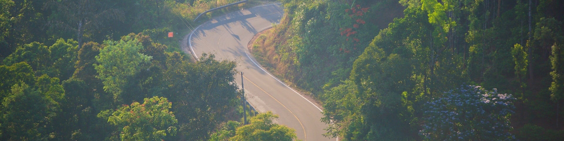 Trono do Rajá mostrando floresta tropical
