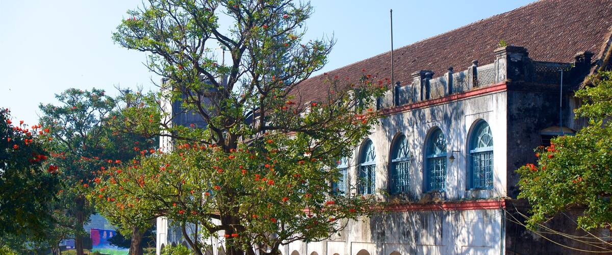 ๋ง๋์ผ๋ฆฌ ์์