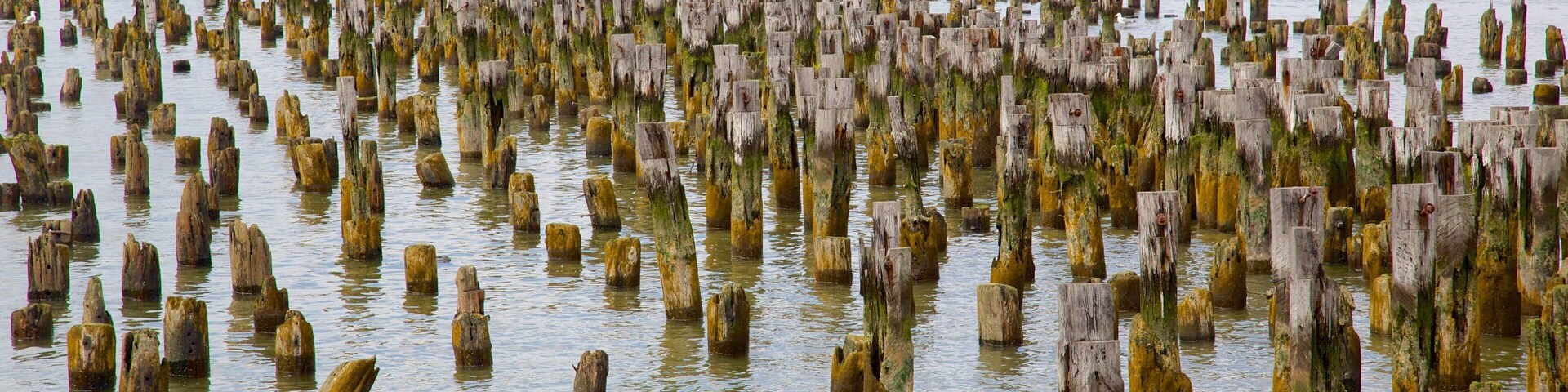 Hudson River Park which includes a lake or waterhole
