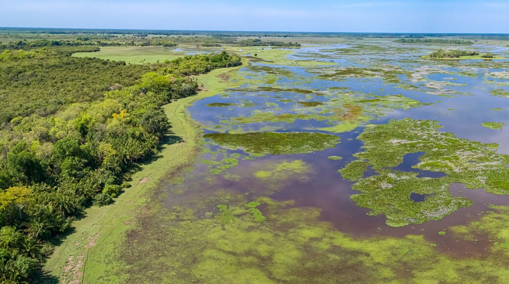 Santo Antonio do Leverger
