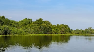 Panorama of typical Pantanal river scenery in afternoon light, vegetation reflected on water, Pantanal Wetlands, Mato Grosso, Brazil