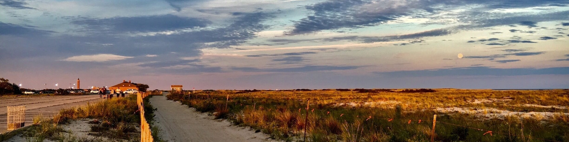 Extensive field next to the ocean is separated by a pointless fence . At left side of fence is a board walk where people go for a scenic stroll in summer; and the other side is sand dunes covered by a huge lay of shrubs toward to the sea water.