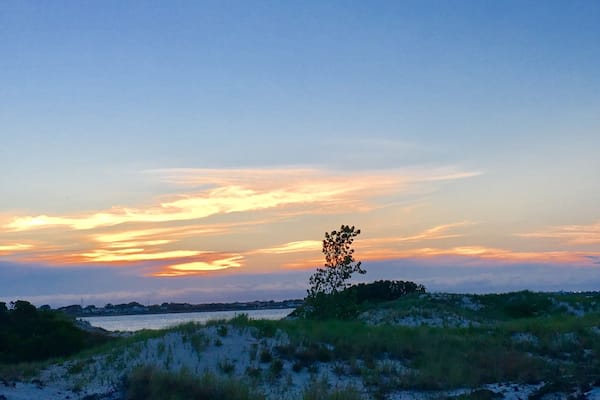 Eine Strandlandschaft mit Dünen und einem einzelnen Baum, der vor einem Abendhimmel in Silhouette steht.