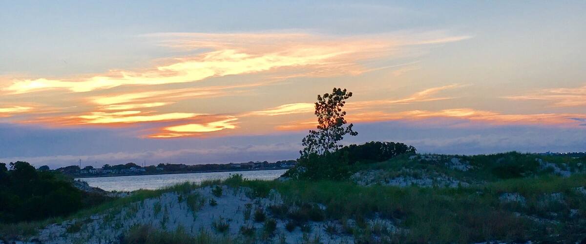 A beach landscape with sand dunes and a solitary tree silhouetted against a sunset sky.