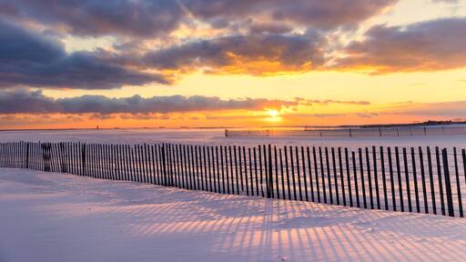 Wantagh