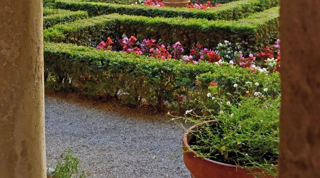 Courtyard of of Auberge Ravoux where Van Gogh spent the last year's of his life.