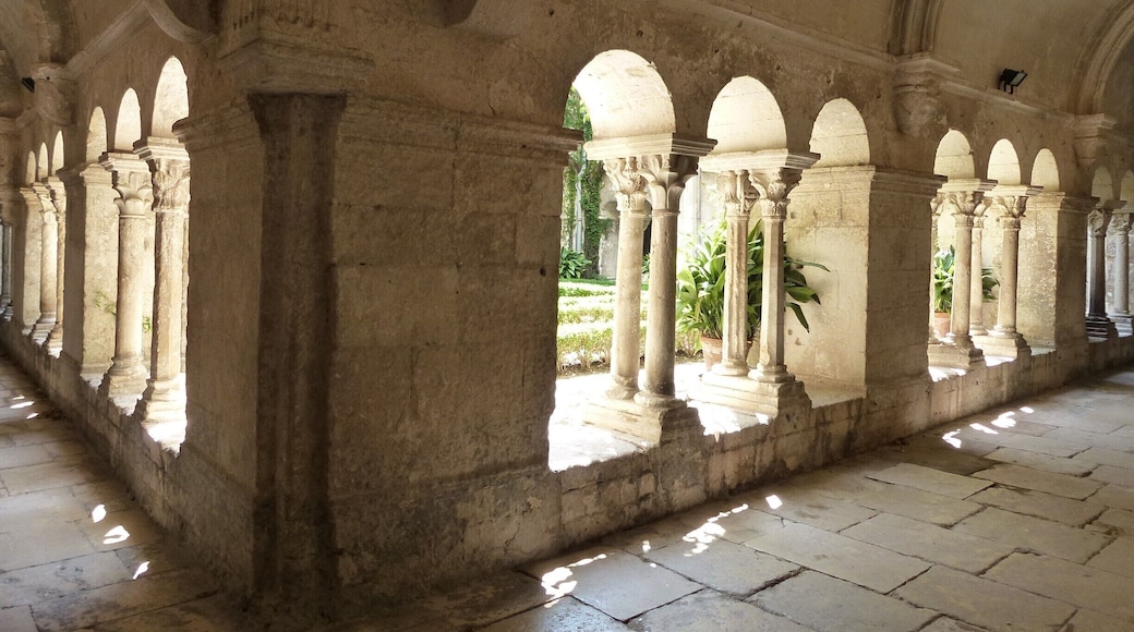 The asylum of St Paul is famous as the place Van Gogh spent a year, but its cloister is worth a visit by itself.