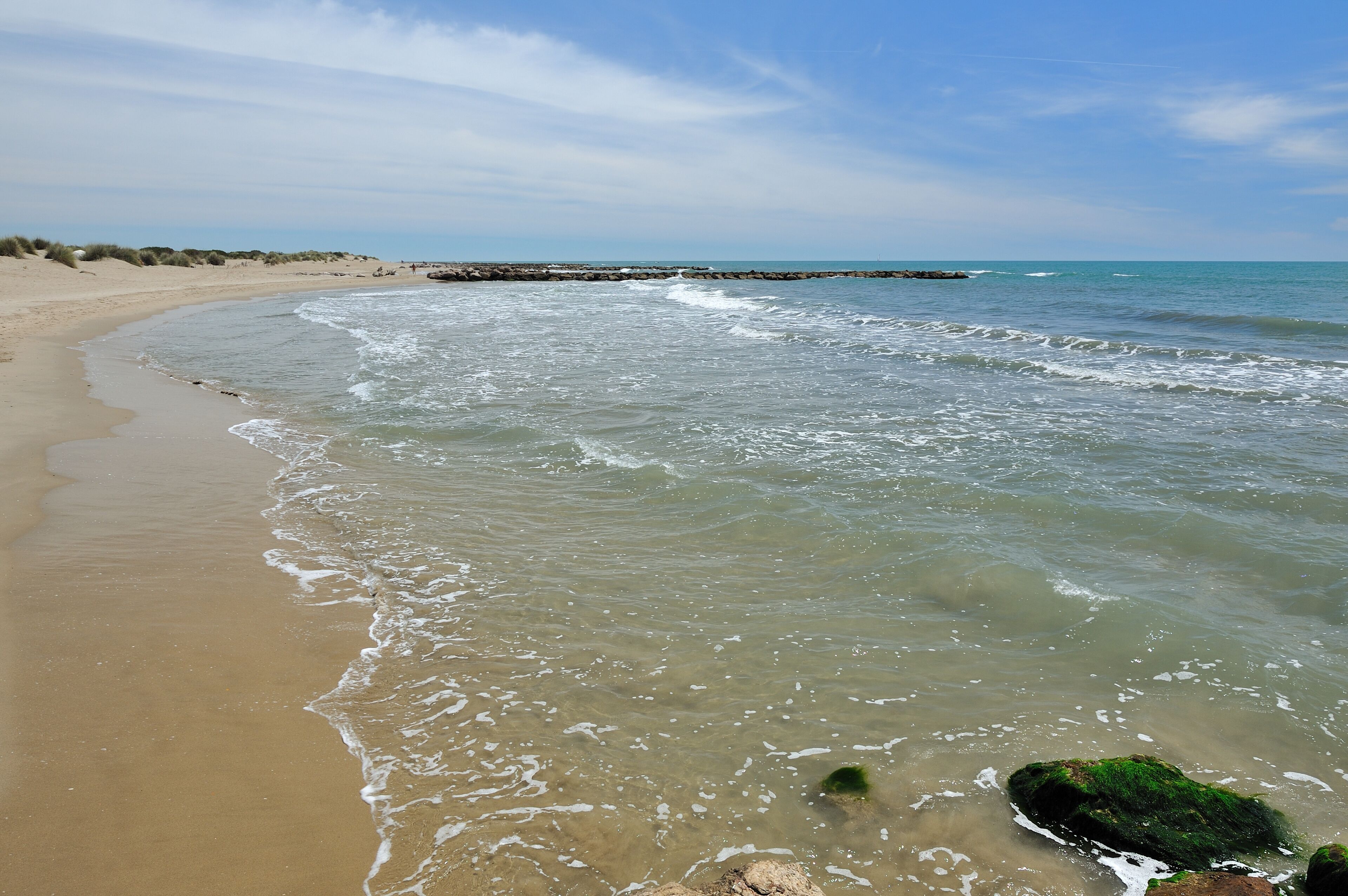 Plage de l'Espiguette, Camargue