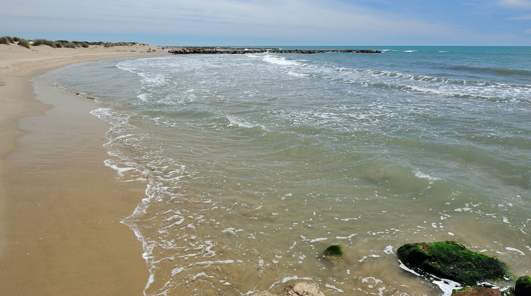 Plage de l'Espiguette, Camargue