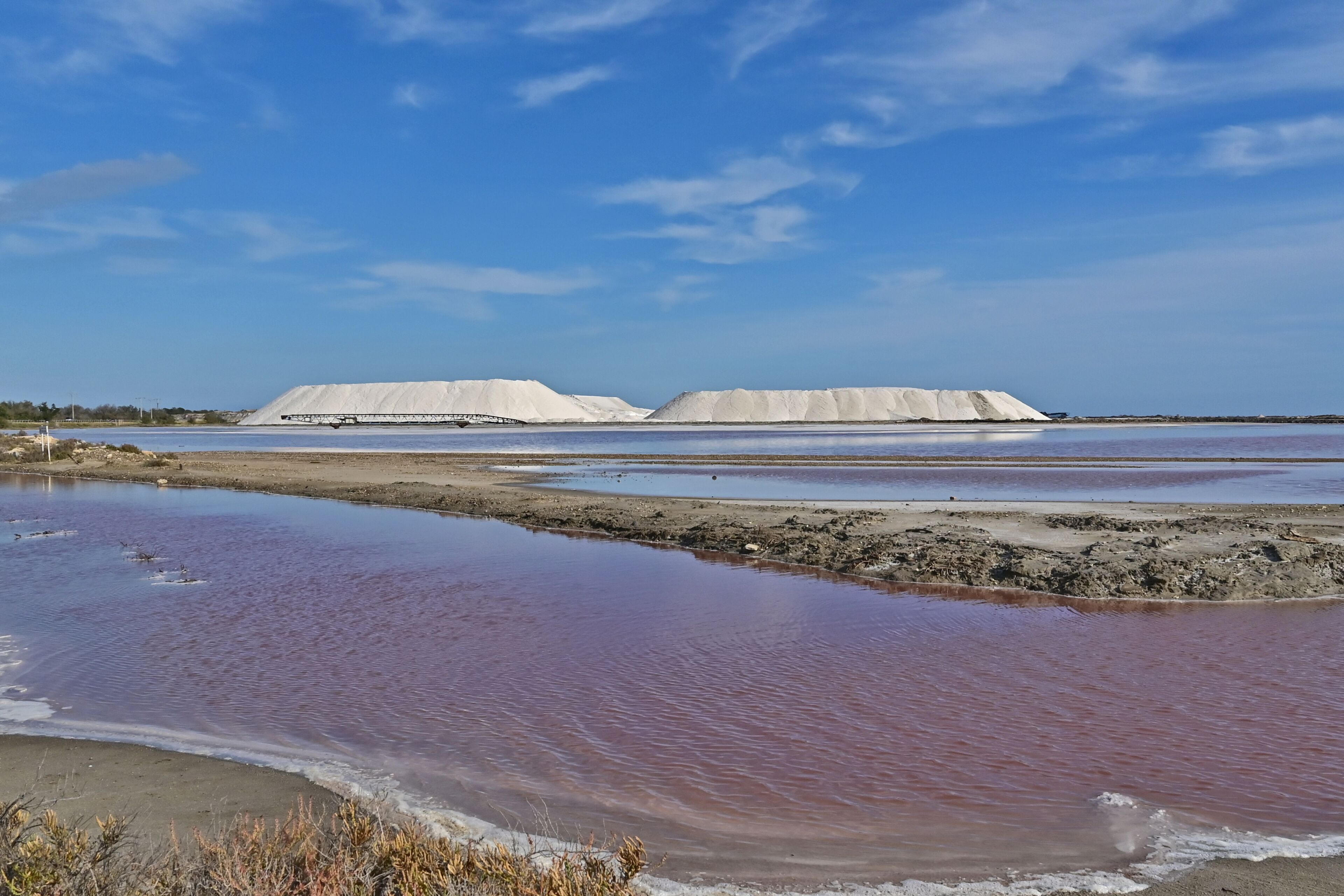 Le saline e le paludi e stagni della Camargue, Arles - Provenza, Francia