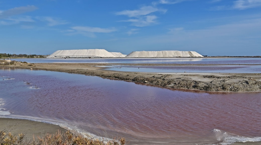 Le saline e le paludi e stagni della Camargue, Arles - Provenza, Francia
