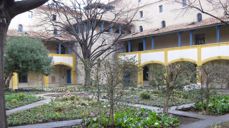 Courtyard of the hospital where Vincent van Gogh stayed. It is maintained as he saw it and painted.
-2015