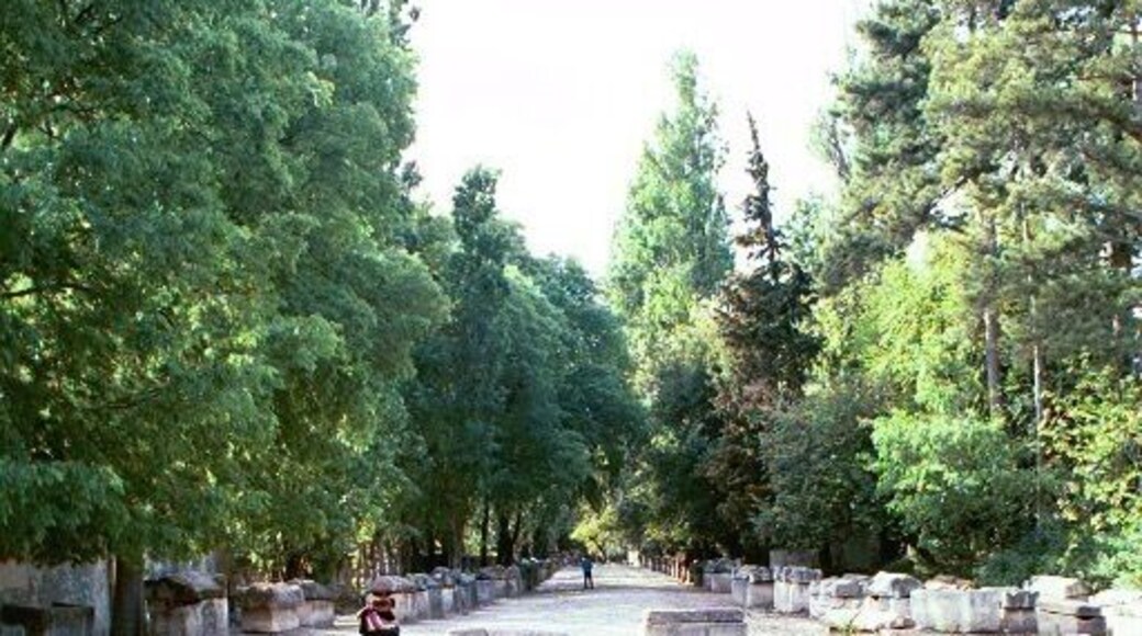 Van Gogh painted "Les Alyscapms" here. Arles, France