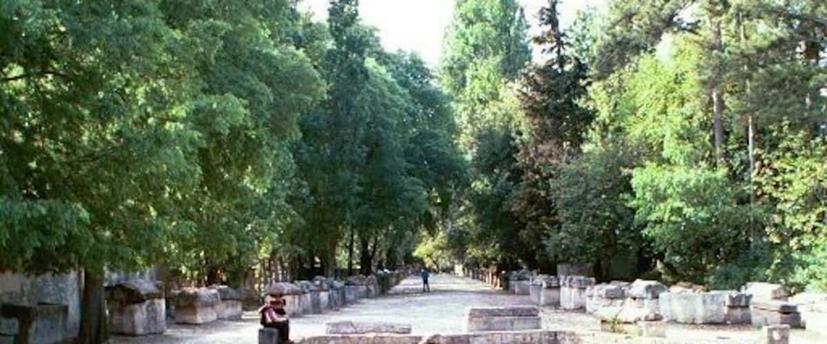 Van Gogh painted "Les Alyscapms" here. Arles, France