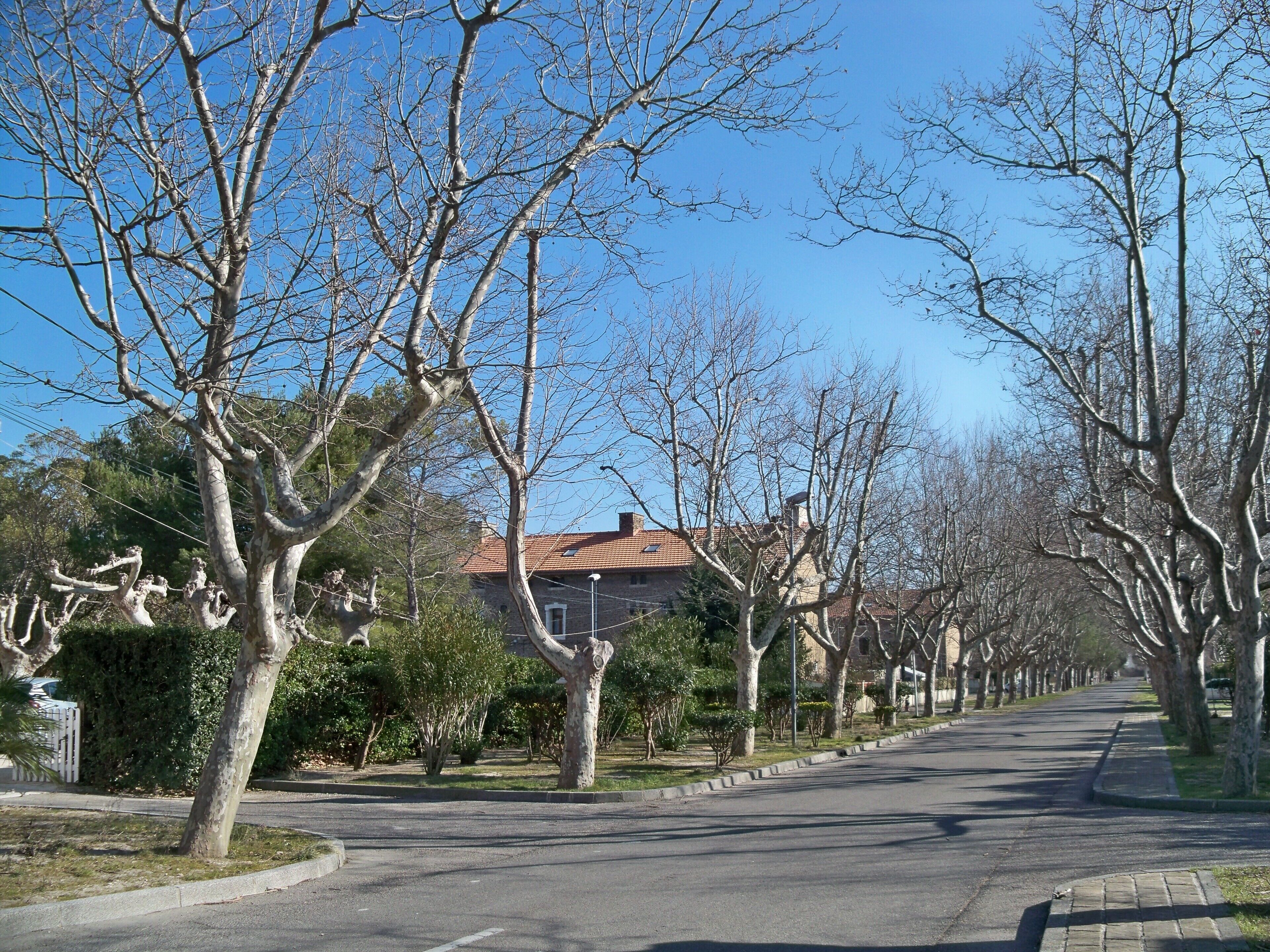 Centre de Salin de Giraud