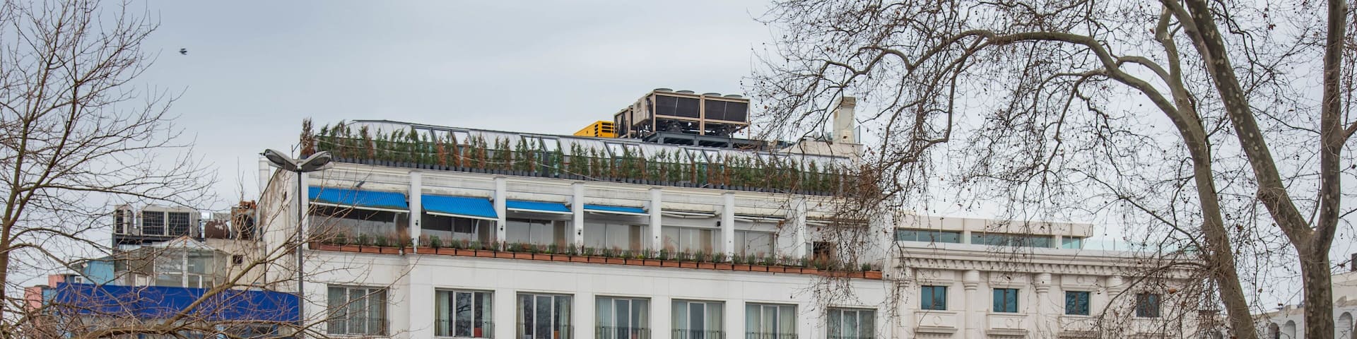 Beyazit featuring street scenes and a city