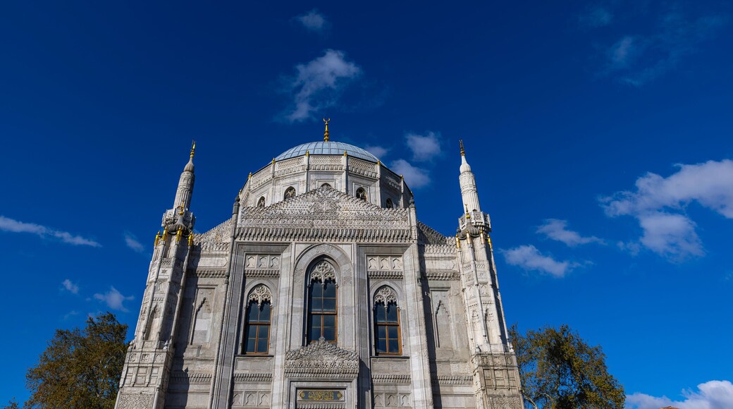 Interior detail from Pertevniyal Valide Sultan Mosque, a 19th century Ottoman imperial mosque located in Aksaray, Istanbul, Turkey.