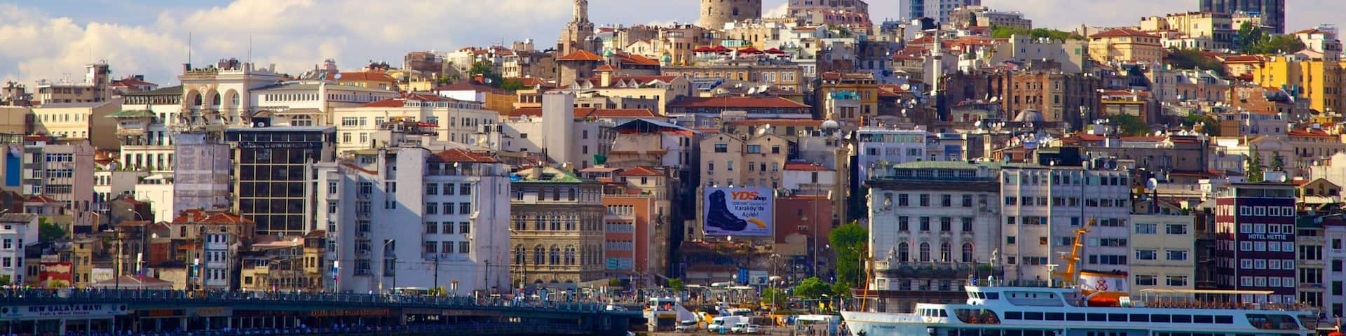 Tour de Galata mettant en vedette ville, croisiĂšre et vues littorales