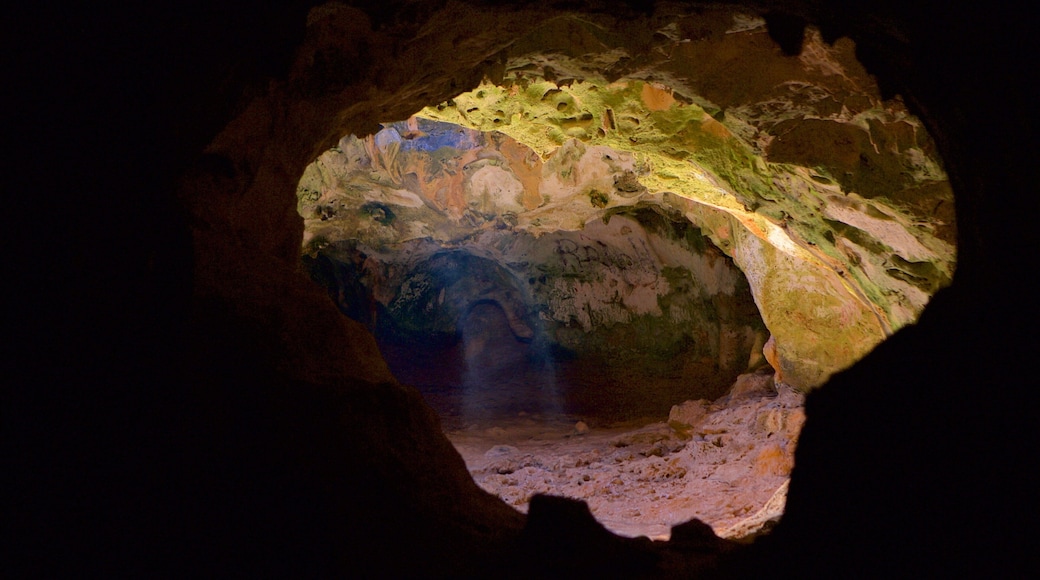 Arikok National Park featuring caves