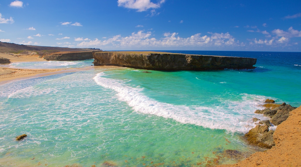 Arikok National Park showing rocky coastline