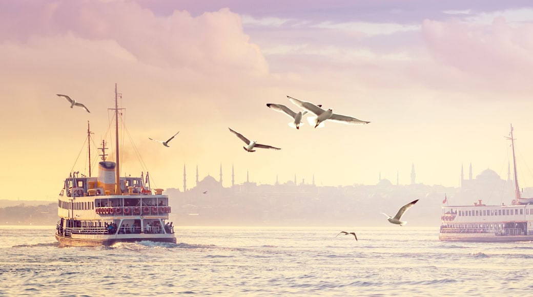 Panorama of Istanbul in sunset.