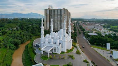 Eine Moschee mit mehreren Minaretten und Kuppeln, umgeben von üppiger Vegetation und einem Fluss.