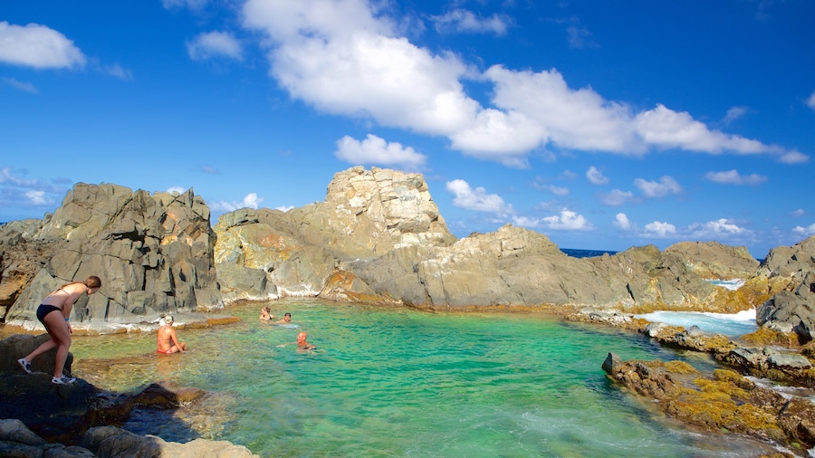Conchi Natural Pool featuring general coastal views as well as a small group of people