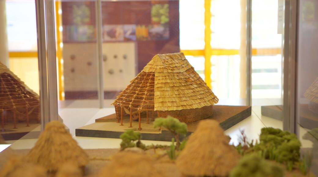 阿路巴國家考古博物館