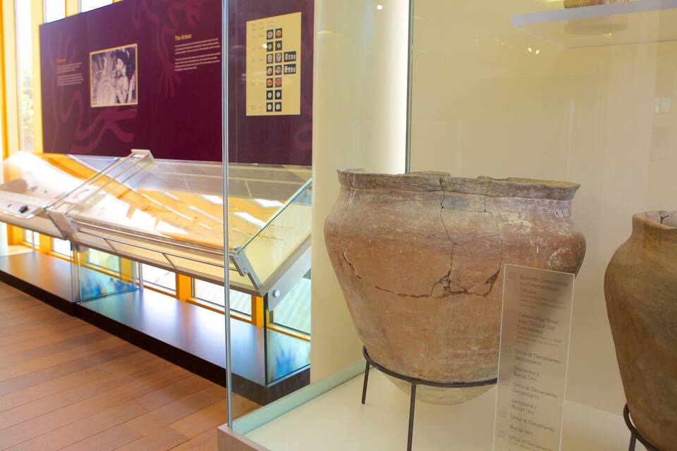 Una exhibición de museo con cerámica antigua y paneles informativos.