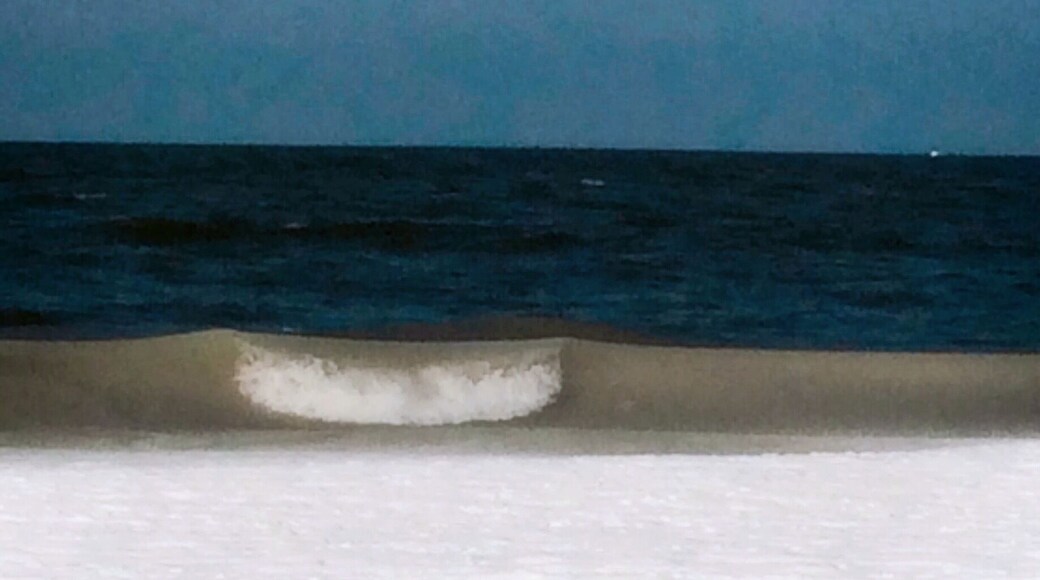 The Long Island sound is no match to weeks of temperatures around 20 degrees. As much of the coast is locked in ice..
The waves are completely slush, as seen above..
#waterlust