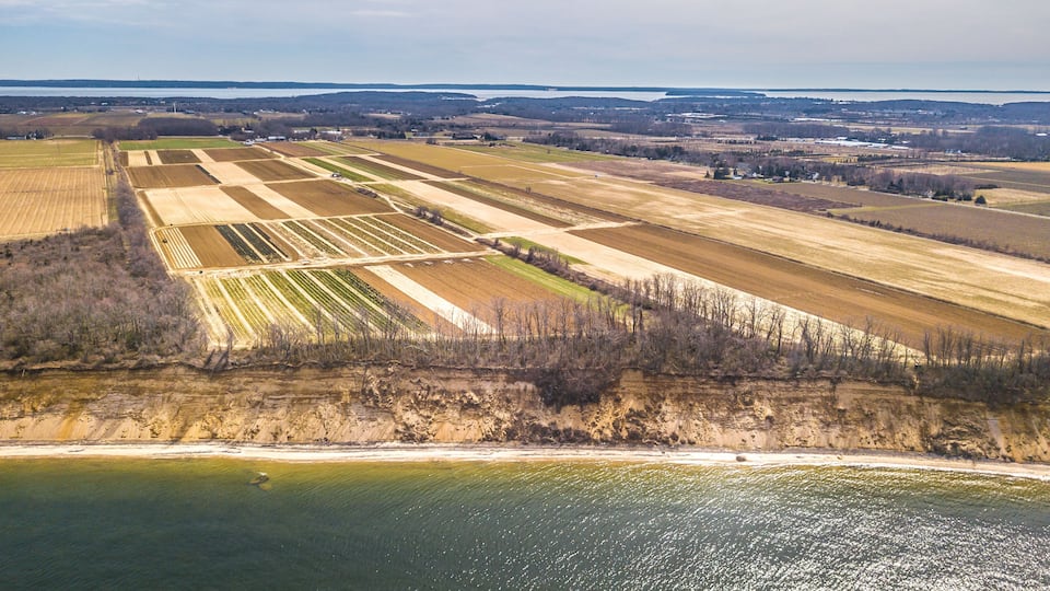 An aerial view of agricultural fields, a coastline, and distant hills.