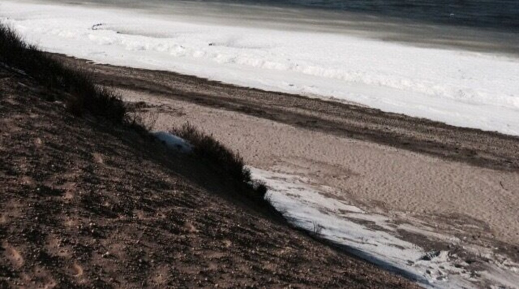 Hiking The frozen shores on the north fork of Long Island in February. Picture taken high on one of the bluffs over looking the sound. Beautiful and amazing place.
#hiking
#waterlust