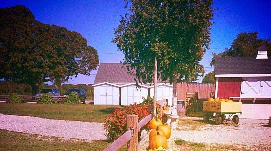 Fall is in the air on the north fork of Long Island.