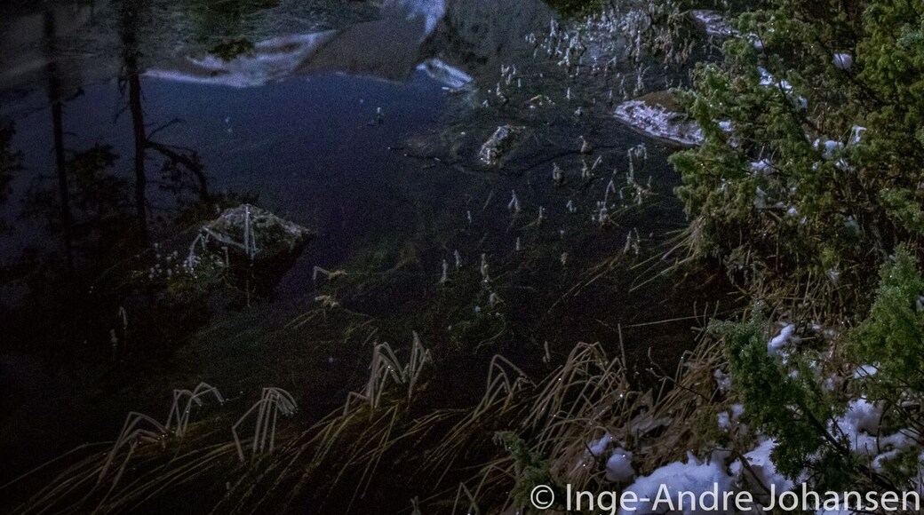 A Nice area for a walk in beautiful scenery. Lakes, mountains and old pine trees #Reflections