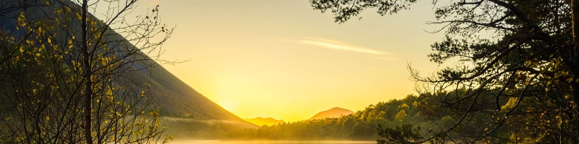 A Nice place go go for a walk