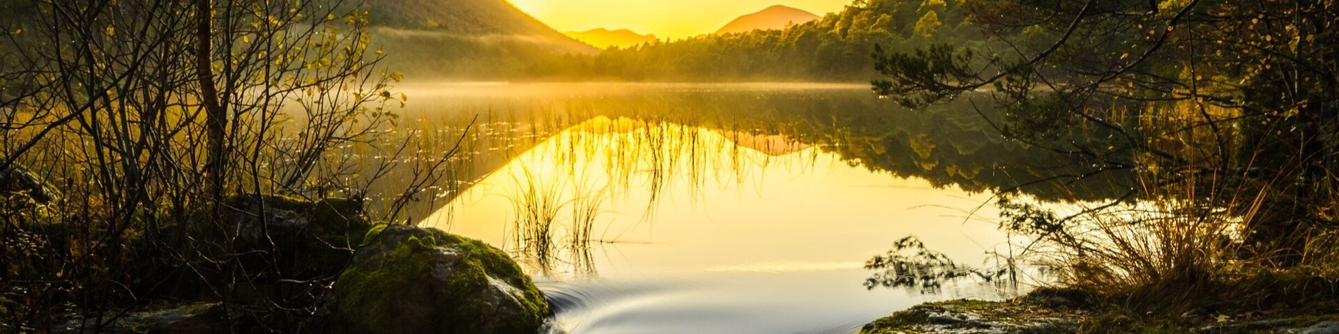 A Nice place go go for a walk