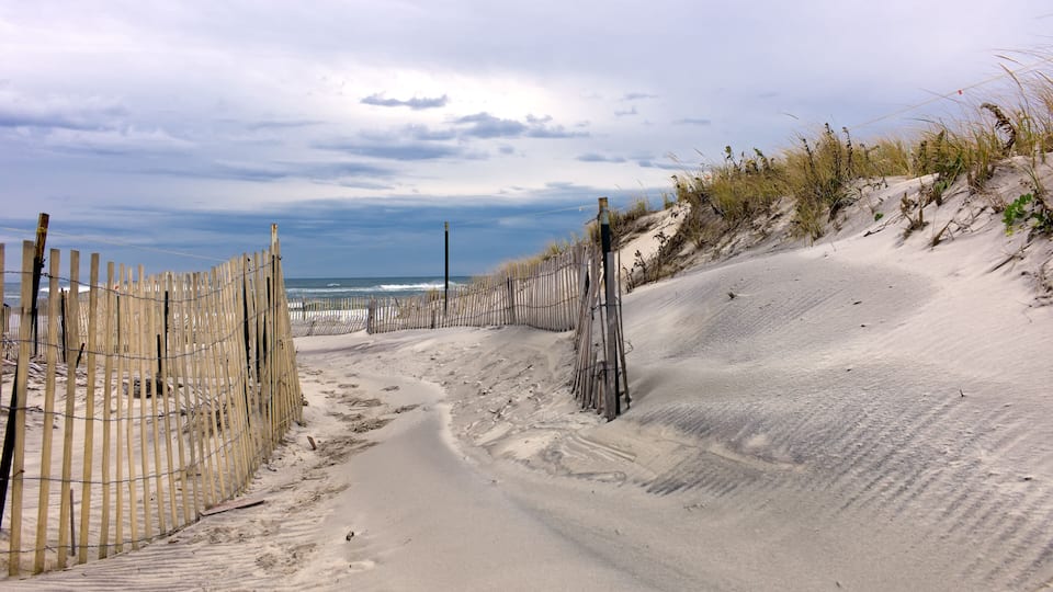 A sandy beach path with wooden fencing and dunes.