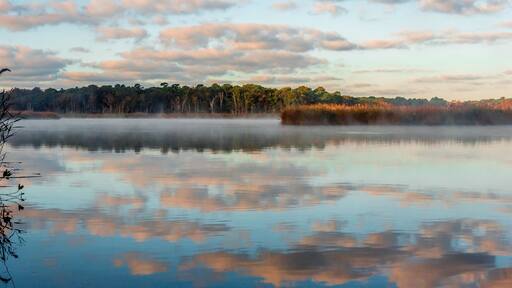 An evening view of the Carmans River in Wertheim
National Wildlife Refuge , New York, with beautiful sky and reflection