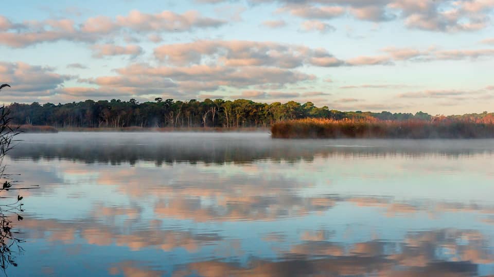 A calm lake with reflections of trees and sky, surrounded by a forest.