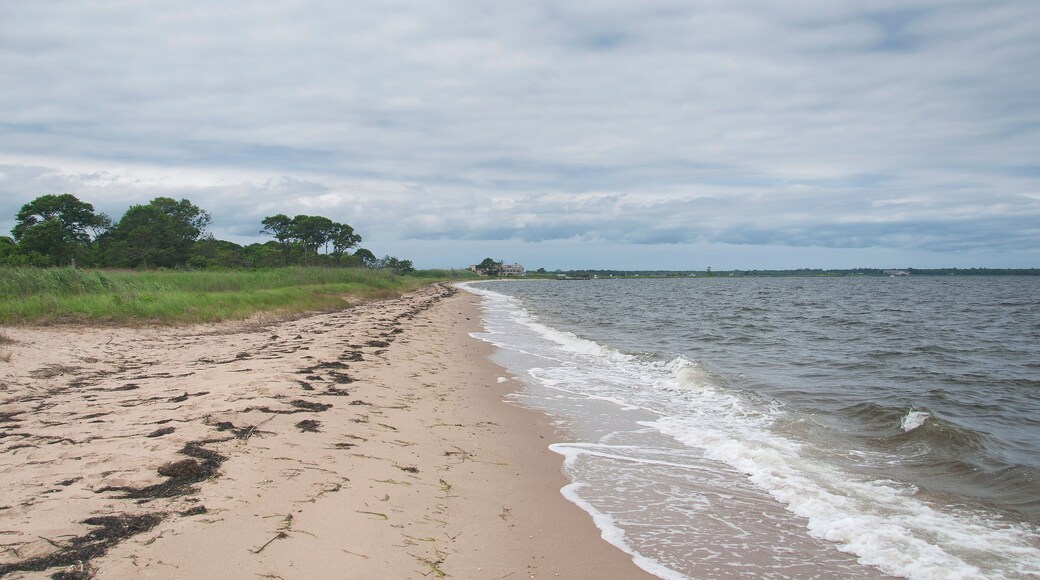Heckscher State Park beach long island new york