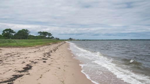Heckscher State Park beach long island new york
