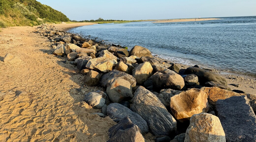 Beautiful golden hour sunrise on the beach at Kings Park Bluffs and Sunken Meadow State Park in Smithtown, NY at dawn. Hot, summer day. Clear, no clouds. Blue sky, coastline of Long Island Sound.