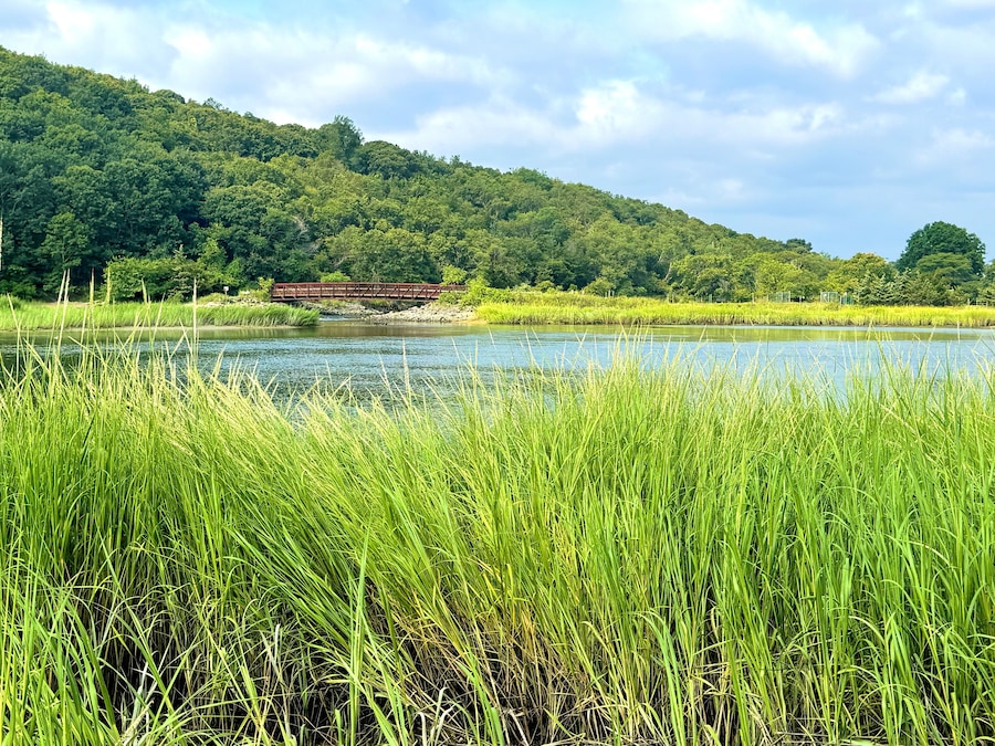 Kings Park Bluffs to Sunken Meadow State Park in Suffolk County, New York. Storm clouds pass, sun shines. Gorgeous summer sunrise walk. sand dunes, beach, bluffs, forest, grass, wetlands, creek, marsh