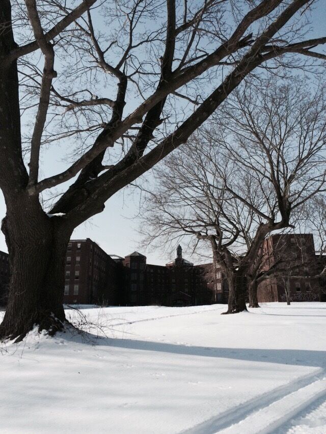 hiking near Kings park psychiatric   center in February. This building is where they quarantined the patients who had TB. We heard faint screams in the distance while exploring the underground tunnels.
#hiking