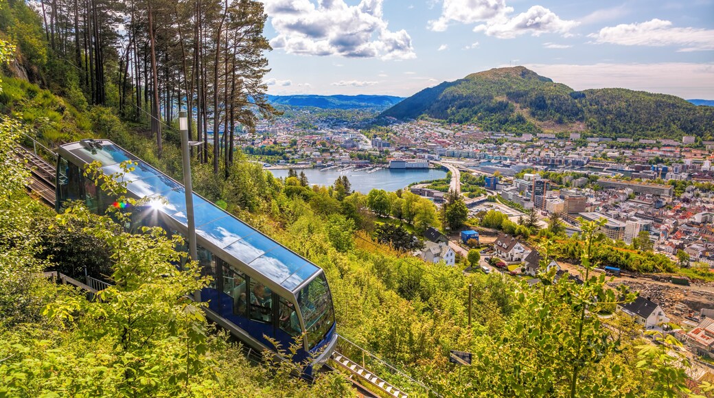 View of Bergen city with lift in Norway