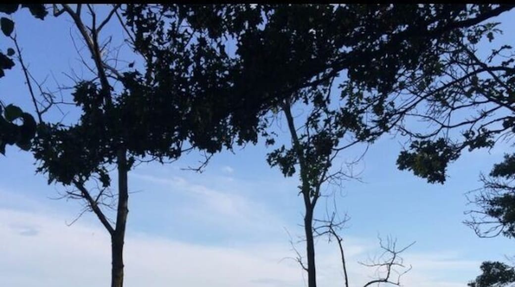 A little polluted and the fishing isent that great. All in all not a bad location for Nassau/queens boarder,