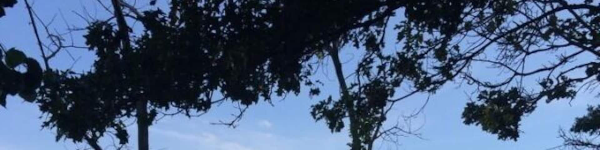 A little polluted and the fishing isent that great. All in all not a bad location for Nassau/queens boarder,