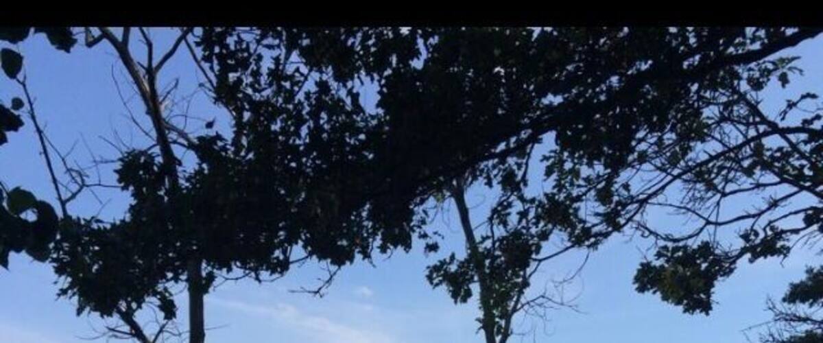 A little polluted and the fishing isent that great. All in all not a bad location for Nassau/queens boarder,