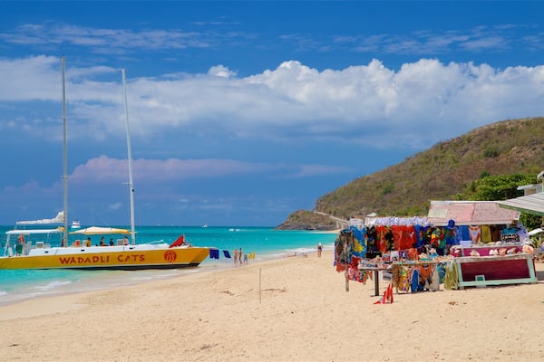 Turner\'s Beach montrant navigation, plage de sable et vues littorales
